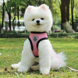 Keep your pet safe and comfortable on car rides with this adjustable seat belt and leash