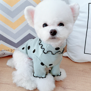Keep your furry friend warm, cozy, and stylish! This polka dot dog turtleneck shirt combines comfort and cuteness for everyday wear, walks, or photo-ready moments. ✅ Key Benefits Soft, breathable cotton keeps your pet comfortable all day Lightweight warmth for indoor lounging or cooler walks Adorable polka dot design adds a fun, fashionable touch Stretchy fabric allows full freedom of movement Easy to wear and remove, ideal for active pets Perfect for casual outings, playtime, and photo sessions ⚙️ Features Material: Premium soft cotton Design: Turtleneck style for extra warmth Pattern: Cute polka dots Lightweight, breathable, and flexible Colors: Yellow, Pink, Green Sizes: 3XS – 3XL (fits small to medium dogs) Ideal for everyday wear and indoor comfort